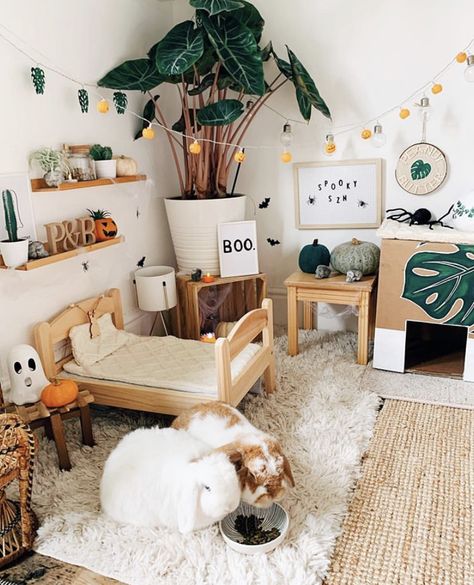 Boho Bunny Room, Bunny Free Roam Area, Bunny House Decor, Rabbit In Bedroom, Bunny Setup In Bedroom, Freeroam Bunny Setup, Pet Rabbit Aesthetic, Rabbit Set Up Indoor Aesthetic, Rabbit Room Setup