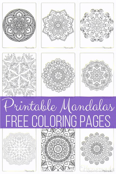 Simple Mandala Art, Mandala Art Ideas, Nature Coloring Pages, Educational Coloring Pages, Free Adult Coloring Printables, Mandala Printable, Printable Mandala, Coloring Pages Easy, Tattoos Mandala