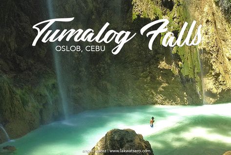 It is beyond magical, the grandest in South Cebu, the exaggeration of all waterfalls! It is truly unbelievable! It is Tumalog Falls of Oslob, Cebu! Tumalog Falls, Magical Locations, Oslob Cebu, In The Town, Cebu, Nature