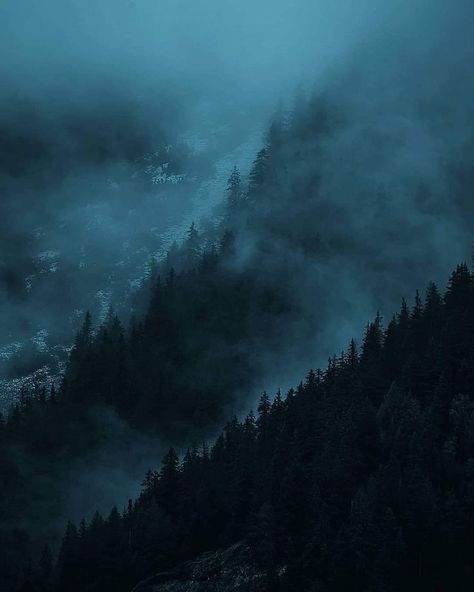 Dark Naturalism, Dark Summer, Beauty In Everything, Dark Landscape, Foggy Mountains, Forest Photos, Forest Background, Mystical Forest, Dark Nature Aesthetic