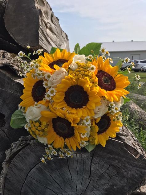 Clutch bouquet of sunflowers white roses and feverfew Clutch Bouquet, Sunflowers And Roses, Sunflower Photography, White Rose Bouquet, Sunflowers And Daisies, Daisy Bouquet, White Sunflowers, Boquette Flowers, Sunflower Bouquets