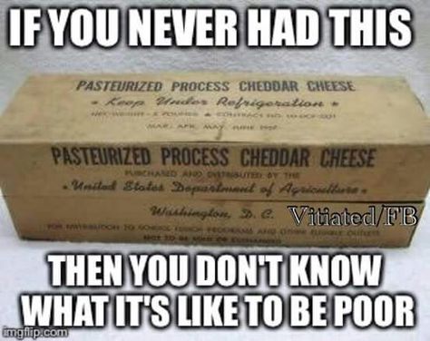 Government cheese Government Cheese, The Best Grilled Cheese, Best Grilled Cheese, Best Cheese, Childhood Days, Retro Ads, Cheez It, Oldies But Goodies, Good Ole