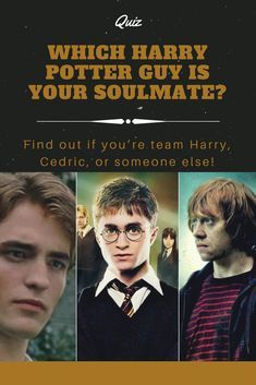 Harry Potter Love Story, All Harry Potter Characters, Harry Potter Funny Tumblr, Harry Potter Trivia Quiz, Harry Potter Neville, Soulmate Quiz, Harry Potter Test, Harry Potter Quizzes, Harry Potter Spells