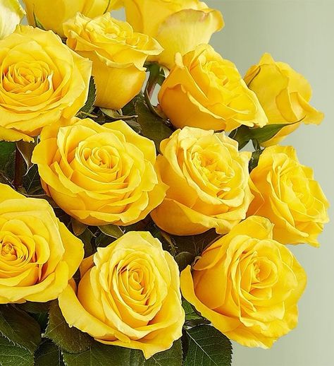 Jose Miguel Ortiz Baez (@tuamiguitolight) • Instagram photos and videos Yellow Rose Flower, Clear Vase, White Ceramic Vases, Candle Vase, Floral Vase, Candle Collection, Shades Of Yellow, Flower Delivery, Yellow Roses