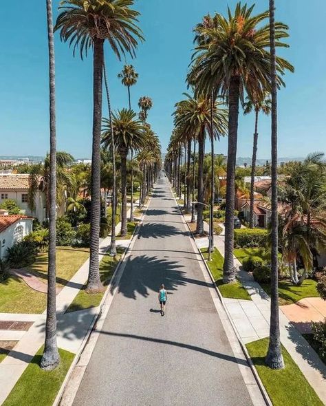 Conexão América on Instagram: "Beverly Hills . . . Credit 👉🏆📸 @asenseofhuber . . . . . . Follow 👉 🇺🇸@conexao.america for more photos and movies about United States 🇺🇸 . . . . Alliance @america_states @enjoy_la_ @latinbrazil . . . . ✈ Mark your photo with tag #conexaoamerica or @conexao.america and we'll post it! . . . #californiaweddings #californialifestyle #sandiegocalifornia #ontariocalifornia #californiavibes #californiaphotography #unlimitedcalifornia #californiawinter #southerncali Ontario California, California Winter, America City, Hill City, Riverside California, California Sunset, Long Beach California, Visit California, California Travel Road Trips