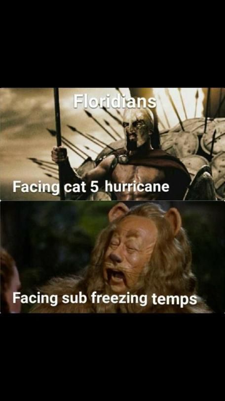 LOL of the Day Florida Funny, Texas Humor, Funny People Quotes, Only In Texas, Funny People Pictures, Florida Weather, Riverside California, People Pictures, Fails Funny