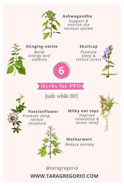 breastfeeding Mothers Milk Tea, Mother Milk, Prenatal Care, Homeopathic Medicine, Postpartum Care, Postpartum Recovery, Nursing Mom, Herbal Medicine, Herbal Remedies