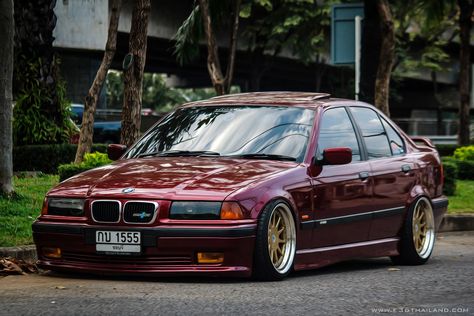 Bmw E36 Sedan, Wolf In Sheeps Clothing, Bmw E36 Compact, Bmw Compact, E36 Touring, Bmw E36 318i, New Bmw M3, E36 Sedan, E36 Compact