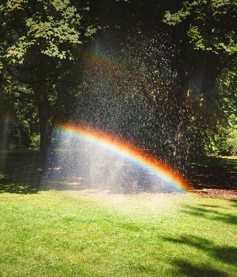 Rainbow Waterfall, Garden Patch, Garden Sprinklers, Lawn Sprinklers, Practice Management, Garden Equipment, Sprinklers, Private Practice, Garden Care