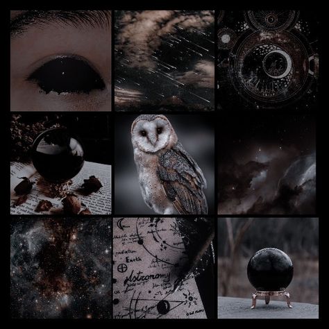 Dark Earth Aesthetic, Dark Aesthetic Moodboard, Aethstetic Moodboard, Starflesh Moodboard, Witch Moodboard Aesthetic, Moon Moodboard Aesthetic, Mushroom Witch Aesthetic, Halloween Moodboard Aesthetic, Christmas Aesthetic Moodboard