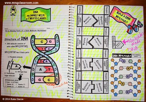 DNA - science interactive notebook Monster Worksheet, Vocabulary Foldable, Biology Interactive Notebook, Dna Activities, Science Interactive Notebooks, Create A Monster, Punnett Squares, Dna Project, Basic Vocabulary