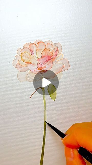 Nadia Sacchetto’s Watercolor Art on Instagram: "It’s my first try at painting from a photo so here it goes. 
Work in progress on this beautiful Wednesday evening. Pale peach/yellowish pink rose Timelapse reel. Hope you are all having a great day!! 

thank you again for all the love and support and for inspiring me ❤️🙏🏻💐😘💕

🌸🌸🌸🌸🌸🌸🌸🌸

Artist 👩‍🎨 - follow me for more @nadz1967 
Paints @winsorandnewton watercolour 1/2 pan paints 
Paper @artnfly 140lb cold pressed 
Brushes @silverbrushltd sizes 0,2,and 6 (velvet series)
all available on Amazon 😊

🌸🌸🌸🌸🌸🌸🌸🌸

#somethingnew ing
#sunny 
#photo 
#day 
#healthylifestyle 
#relax 
#spring 
#mood 
#rose 
#picture 
#flower 
#motivation 
#instamood 
#instalove 
#evening 
#wednesday 
#my #passion 
#new #art #design 
#daily 
#happy #m Beautiful Wednesday, Diy Large Wall Art, Picture Flower, Rose Picture, Friends First, Pale Peach, Spring Mood, Painting Tutorials, Painted Paper