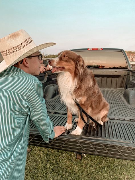 Country Dogs, Truck Pics, Country Things, Western Photography, Dog Picture, Farm Dogs, Dream Dog, Wild Heart, Urban Farming