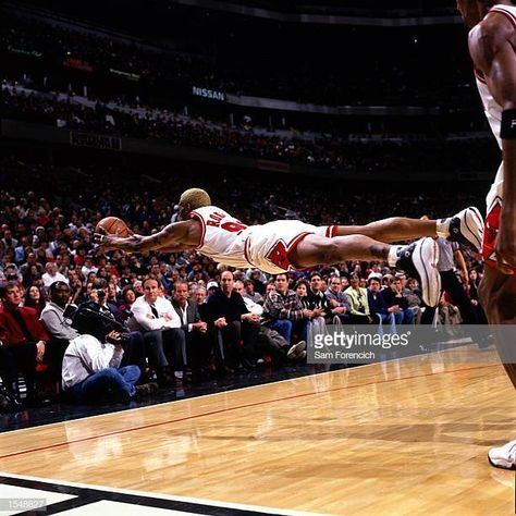 Denis Rodman, Basketball Poster, Bola Basket, Sport Nutrition, United Center, Basketball Posters, Dennis Rodman, Nba Pictures, Perfectly Timed Photos