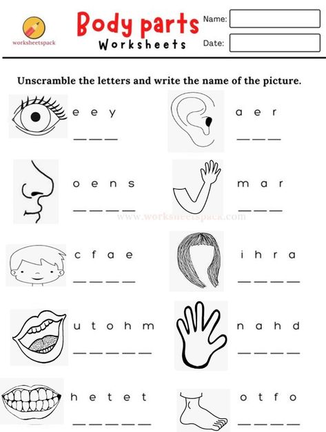 Body Parts Worksheet For Grade 1, Parts Of The Body Worksheet, Toys Worksheets, Body Parts Worksheet, Body Worksheet, Human Body Worksheets, Senses Preschool, Primary English, English Teaching Resources