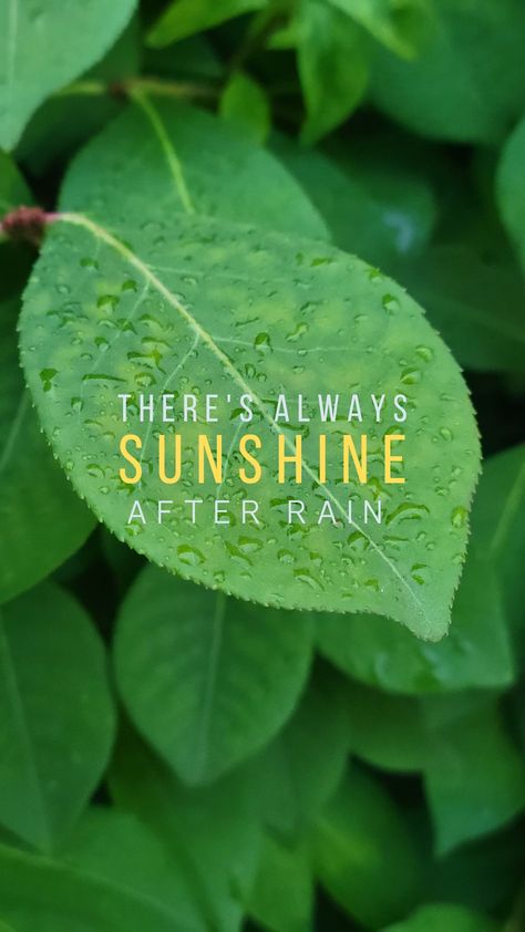 There is always sunshine after rain! #caption #quote #photography #rain #life #nature Come Rain Or Shine Quotes, After Rain Quotes, Sunshine After Rain, Photography Captions, Quote Photography, Leaf Quotes, Photography Rain, Shine Quotes, Rain Quotes