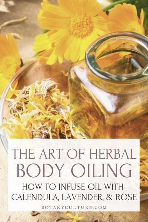 Infused Gifts, Herbal Body Oil Recipe, Diy Herbal Body Oil, Diy Calendula Oil, Herbal Oil Recipes, Rose Infused Oil Diy, Lavender Infused Coconut Oil, Herbal Infused Oil, Apothecary Book