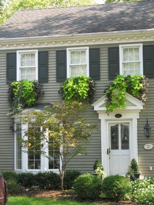 Love the second-story-only windowbox, done right. Green Window Box, White Picket Fences, Colonial House Exteriors, Hawthorne House, Terrace Park, Andy Griffith Show, Picket Fences, Old Homes, Window Box Flowers