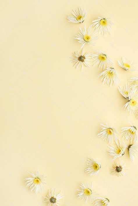 Flowers Wallpaper Backgrounds, Pastel Yellow Flowers, Yellow Flowers Wallpaper, Iphone Wallpaper Yellow, Yellow Aesthetic Pastel, Membership Site, Marketing On Instagram, Powerpoint Background Design, Instagram Background