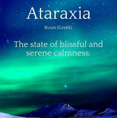 "Ataraxia Noun (Greek) The state of blissful and serene calmness" - #ataraxia #blissful #bliss #serene #calmness #calm #words #vocabulary Calm Words, Brain Knowledge, African Words, Word Symbols, Words Vocabulary, Easy English, Taste And See, Word Nerd, Unusual Words