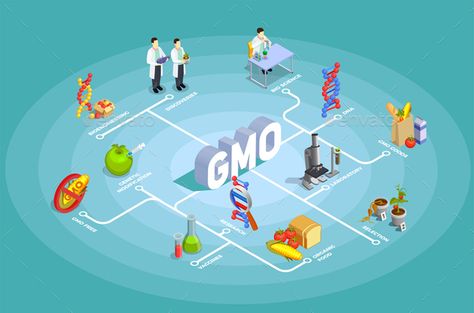 Genetically modified organisms isometric flowchart on turquoise background with dna, research, organic food, gmo goods vector illu Genetically Modified Organisms, Origami Shirt, Genetically Modified Food, Coca Cola Ad, Genetic Engineering, Biology Notes, Turquoise Background, Information Graphics, Genetically Modified