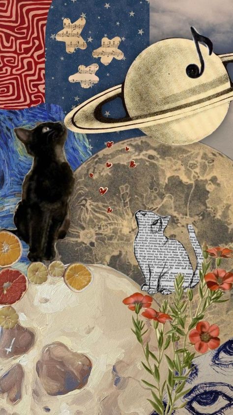 Space Cats Wallpaper, Moon Cat Wallpaper, Space Cat Wallpaper, Cat Collage, Collage Background, Edgy Wallpaper, Funny Wallpaper, Graphic Wallpaper, Space Cat