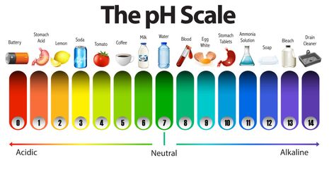 How to make pH indicator test strips – Science Experiments for Kids Ph Indicator, Ph Scale, Ph Water, Powers Of Ten, Baking Soda And Lemon, Water Solutions, Alkaline Diet, Deep Conditioning, Deep Conditioner