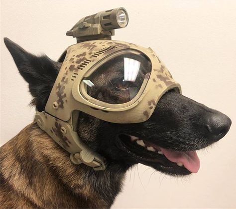 Apocalypse Dog, Tactical Dog Gear, Dog Armor, Dog Helmet, Dog Soldiers, Army Dogs, Dog Equipment, Military Working Dogs, Tactical Helmet