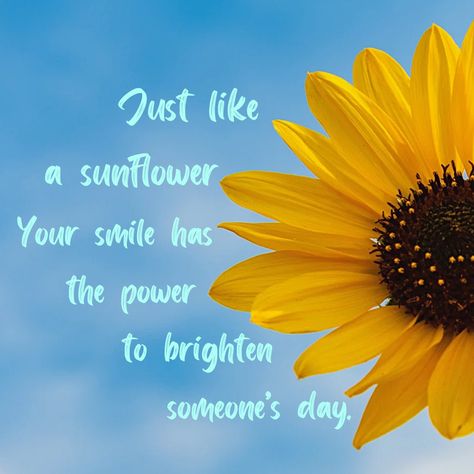 Feel good Friday quote for the sunflower lovers. #sunflowers #sunflowerquote #inspirationalquotestoliveby #feelgoodquotes #quotestoliveby #inspirationalquotes Feel Good Friday Quotes, Friday Quote, Good Friday Quotes, Sunflower Quotes, Feel Good Friday, Friday Quotes, Its Friday Quotes, Feel Good Quotes, Photography Styling