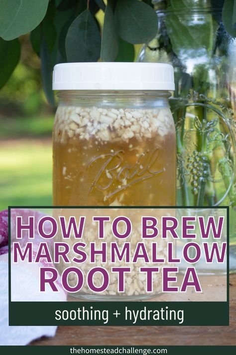 Make this Soothing Marshmallow Root Tea Recipe! ☕🌿 Dive into our latest blog post to discover the step-by-step guide to crafting this comforting herbal infusion. Learn about the incredible benefits of marshmallow root and use to soothe sore throats, boost hydration, and more with this delightful homemade tea. ☁️�✨ #MarshmallowRootTea #HerbalInfusion #herbalteas Marshmallow Root Tea Recipe, Burdock Root Tea Recipes, Benefits Of Marshmallow Root, Marshmallow Tea Benefits, Marshmallow Root Tea Benefits, Essiac Tea Recipe, Marshmallow Root Recipes, Marshmallow Root Benefits, Marshmallow Root Tea