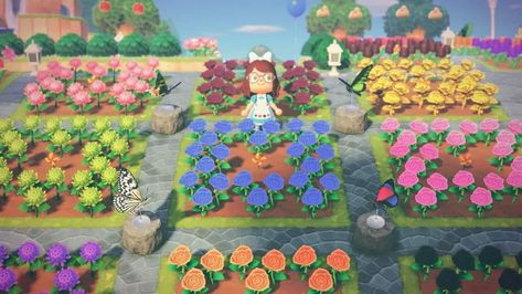 Acnh Ideas, Garden Animals, Island Ideas, Animal Crossing Game, Flower Display, Floral Garden, Flower Beds, Animal Crossing, Flower Designs