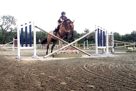 Giant crossrail Jumping Horses, Equestrian Aesthetic, Cute Ponies, Horse Jumping, Horse Life, Show Jumping, Horse Stuff, Horse Photography, Horse Pictures