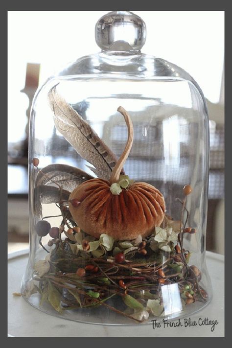 It's Fall and that means it's time for all things pumpkin! Let's take an item that's usually reserved for Spring (a nest) and turn it into Autumn decor. Then we can add a velvet pumpkin, some feathers, and a cloche and have a beautiful centerpiece! #velvetpumpkin #fallcloche #fallcenterpiece Vintage Thanksgiving Decor, French Country Fall Decor, Autumn Vignettes, Cottage Fall Decor, Autum Decorations, Glass Cloche Decor, Halloween Cottage, Cloche Ideas, Blue Fall Decor