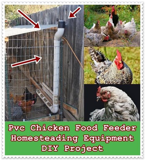 Chicken Food Dispenser, Survival Tent, Food Dispenser, Hen Chicken, Homestead Survival, Chicken Diy, Survival Prepping, Survival Tips, Farm Gardens