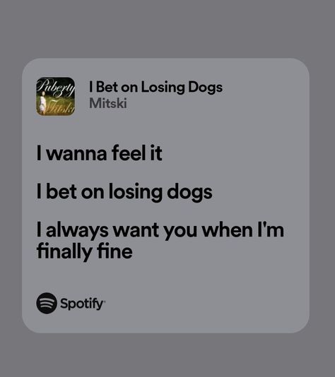 Mitski Lyrics I Bet On Losing Dogs, I Bet On Losing Dogs Lyrics, I Bet On Losing Dogs Aesthetic, I Bet On Losing Dogs Mitski, Cds Designs, Mitski Widget, Mitski Spotify Lyrics, I Bet On Losing Dogs, Mitski Lyrics