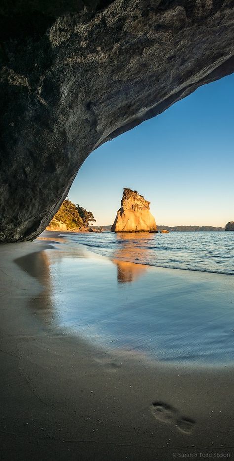 Sunrise, Cathedral, Cove. Coromandel, New Zealand Coromandel New Zealand, Auckland New Zealand Aesthetic, Cathedral Cove, Australia Beach, New Zealand Landscape, Cambodia Travel, New Zealand North, Mysterious Places, Auckland New Zealand