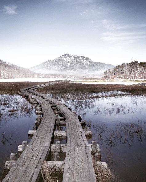 Oze is the largest highland marsh on Honshu, the main island of Japan. These wetlands were created over a period of 6000-7000 years! Take a stroll along the raised walkways or relax on a bench and enjoy this rare natural landscape up close 🏞️ 📸CREDIT: @tbukkiy ~ ~ #VisitJapan #NationalPark #Nature #Relaxation #WhenWeTravelAgain 📌 Gunma [...] The post Visit Japan: Oze is the largest highland marsh on Honshu, the main island of Japan. These wet… appeared first on Alo Japan. Gunma, Visit Japan, Natural Landscape, Japan Travel, Relaxation, Maine, National Parks, Period, Bench