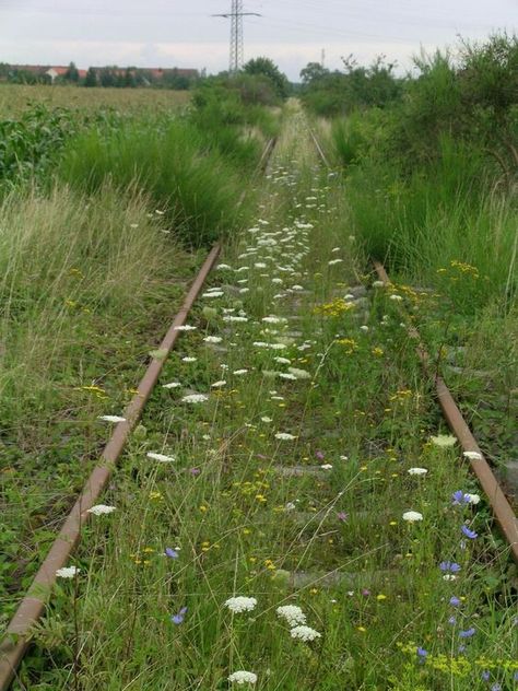 Abandoned Railroad, Railroad Images, Angel Fire, The Road Not Taken, Abandoned Train, Union Pacific Railroad, Rail Road, Old Trains, Trainspotting