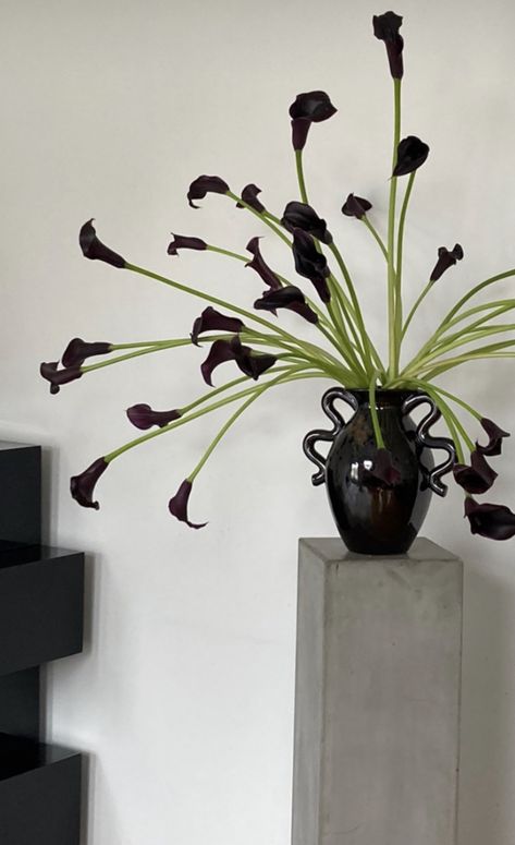 Black Calla Lily Arrangement, Dark Flower Arrangements, Black Flower Arrangements, Black Floral Arrangements, Black Flower Wedding, Dark Floral Decor, Modern Florals, Modern Floral Arrangements, Black Vase