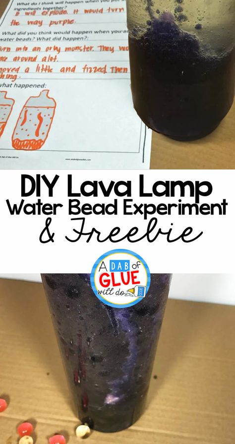 Diy Lava Lamp, Windsock Craft, First Grade Freebies, Kindergarten Freebies, First Grade Science, Science Activities For Kids, Parenting Inspiration, Cool Science Experiments, Science Ideas