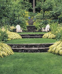 The yellow plant is Golden Japanese Forest Grass (Hakonechola macra 'Aureola'- one of my absolute favorite plants.  Photo Allan Mandell. Tiered Landscape, Hill Landscaping, Terraced Landscaping, Terraced Backyard, No Grass Backyard, Sloped Yard, Sloped Backyard, Garden Stairs, Tiered Garden