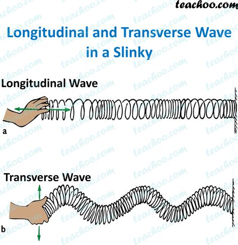 Longitudinal and Transverse Waves - Explanation, Difference - Teachoo Longitudinal Waves Physics, Waves In Physics, Wave Physics, Physics Waves, Transverse Wave, Seismic Waves, Gcse Science Revision, Ultrasound Physics, Longitudinal Wave