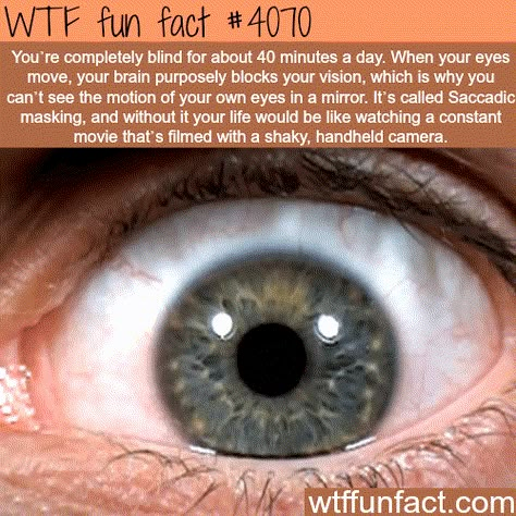 Fun Facts Mind Blown, Eye Facts, Facts Funny, Human Eyes, Creepy Facts, Motion Sickness, Intresting Facts, Mind Blowing Facts, Wow Facts