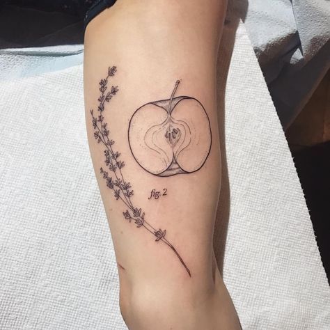 Michelle Marie (@sketchupandfries) on Instagram: “Apple and thyme for Kelly's first tattoo. Hrm now I'm thinking it would be a lot of fun to create a…” Biologist Tattoo, Man Tattoo Ideas, Tattoo Ideas For Woman, Herb Tattoo, Tattoo Line Art, Men Flower Tattoo, Apple Tattoo, Sketches Tattoo, Line Art Minimal