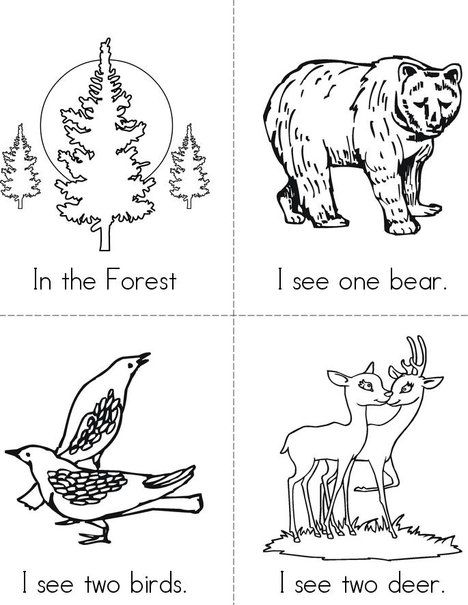 In the Forest (free) Mini Book from TwistyNoodle.com Free Printable Forest Animal Pictures, Forest Animals Preschool, Woodland Activities, January Themes, Forest Animal Crafts, Forest Preschool, Animal Crafts Preschool, Artistic Drawings, Forest Animals Theme