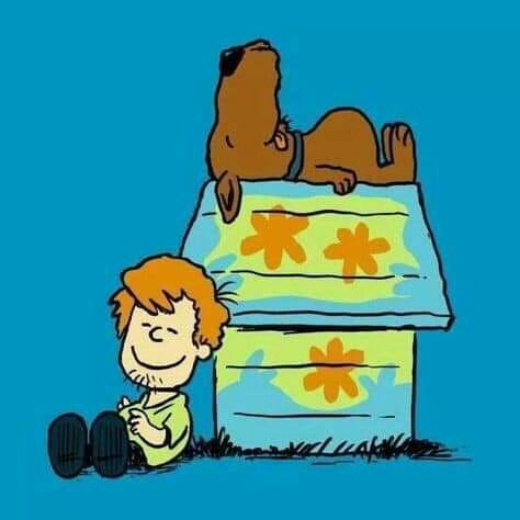 Scooby Doo Images, Shaggy And Scooby, Scooby Dooby Doo, Boy And His Dog, Scooby Doo Mystery, Snoopy Love, Charlie Brown And Snoopy, The Peanuts, Peanuts Gang