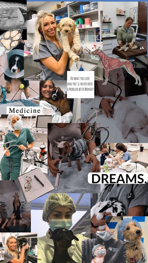 Vet Collage, Vet Pictures, Vet School Motivation, Veterinary Studies, Job Motivation, Vet Tech School, Veterinary Assistant, Veterinary School, Medical School Life