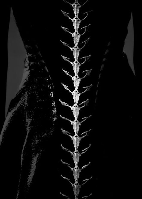 Dark Queen Outfit, Dark Fantasy Fashion, Poison Aesthetic, Queen Of Darkness, Poison Apple, Yennefer Of Vengerberg, Fantasy Aesthetic, Fantasy Clothing, Fantasy Fashion