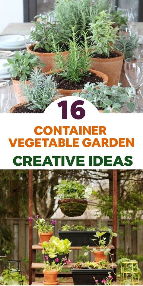 Create a bountiful urban vegetable garden with these innovative container gardening tips designed for city dwellers craving homegrown goodness. Transform your patio into a space of vibrant raised beds, adding a splash of color with various peppers growing in charming containers. Enhance your gardening experience by setting up a miniature greenhouse for continuous harvests throughout the year. Container Vegetable Garden Ideas, Apartment Vegetable Garden, Container Vegetable Garden, Mason Jar Herbs, Miniature Greenhouse, Fall Landscaping, Vegetable Garden Ideas, Vegetable Planters, Diy Planter