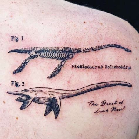 Above The Knee Tattoo Skeleton, Ky Tattoos, Scientific Tattoo, 16 Tattoo, Funky Tattoos, History Tattoos, Dinosaur Tattoos, Tattoo Aesthetic, Human Canvas